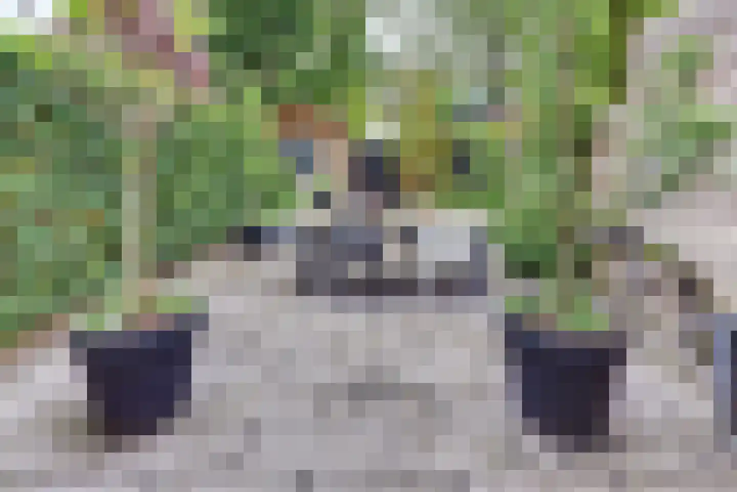 Vondellaan 103 Harderwijk thumbnail 38