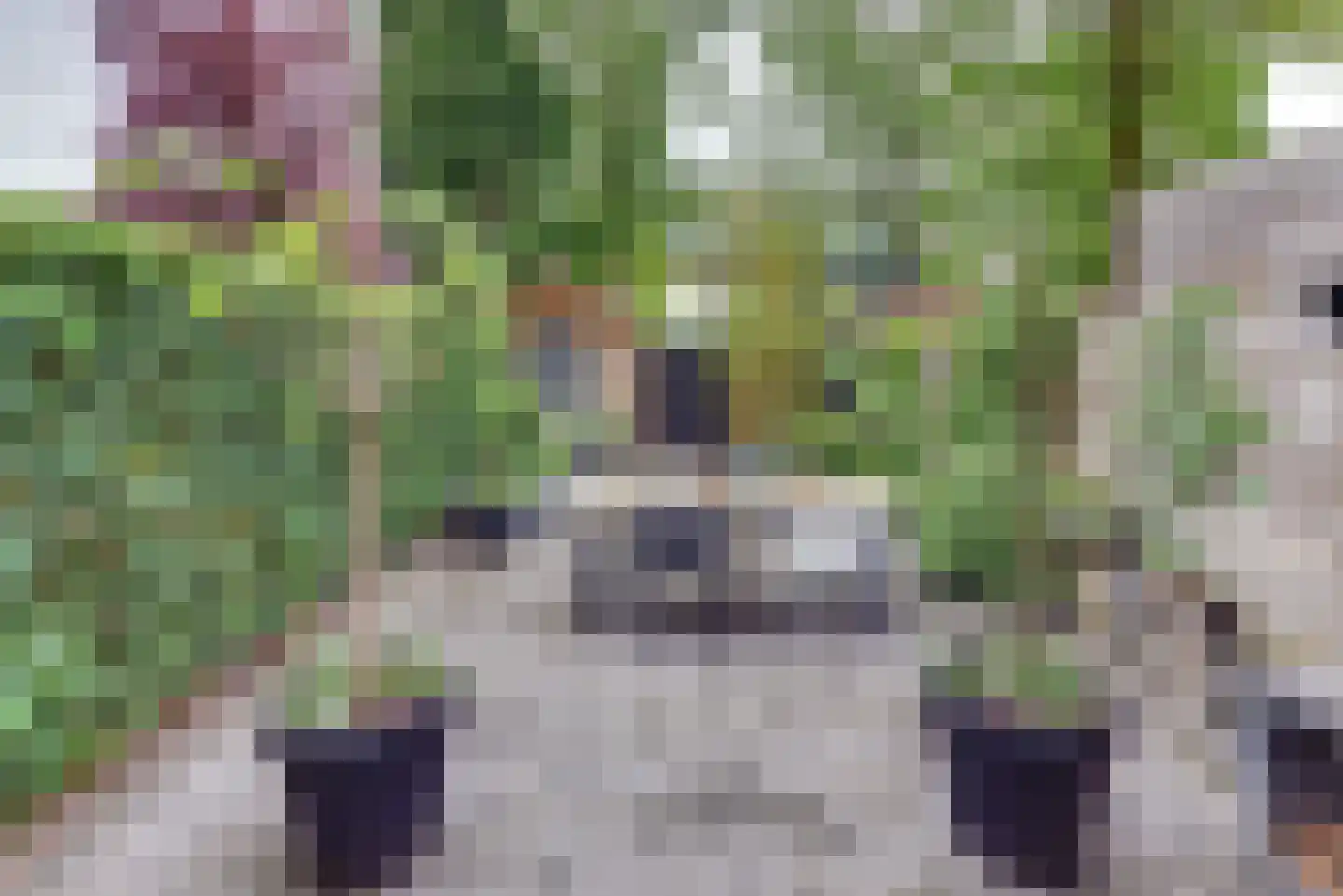 Vondellaan 103 Harderwijk thumbnail 4