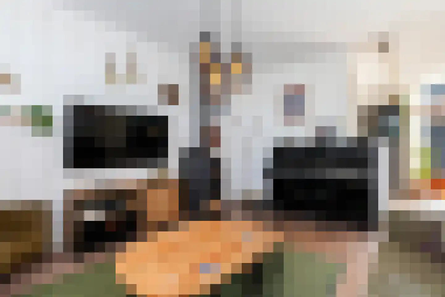 Vondellaan 109 Alblasserdam thumbnail 8