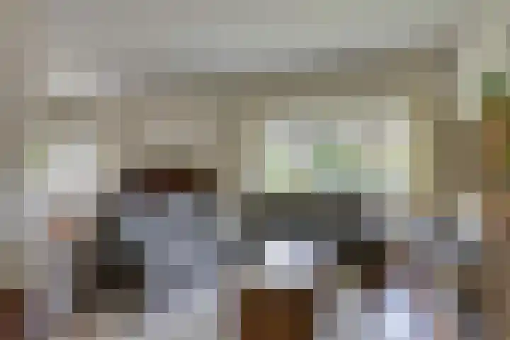 Vondellaan 11 Arnhem thumbnail 10