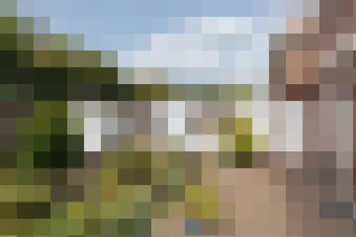 Vondellaan 11 Arnhem thumbnail 34
