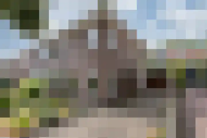 Vondellaan 11 Arnhem thumbnail 38