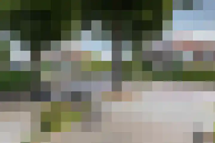 Vondellaan 11 Arnhem thumbnail 39