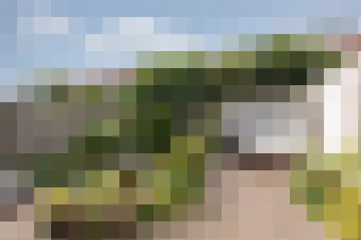 Vondellaan 11 Arnhem thumbnail 4
