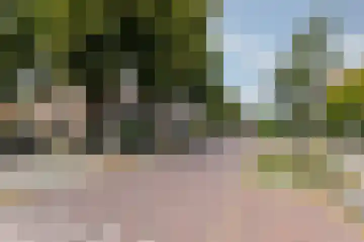 Vondellaan 11 Arnhem thumbnail 40