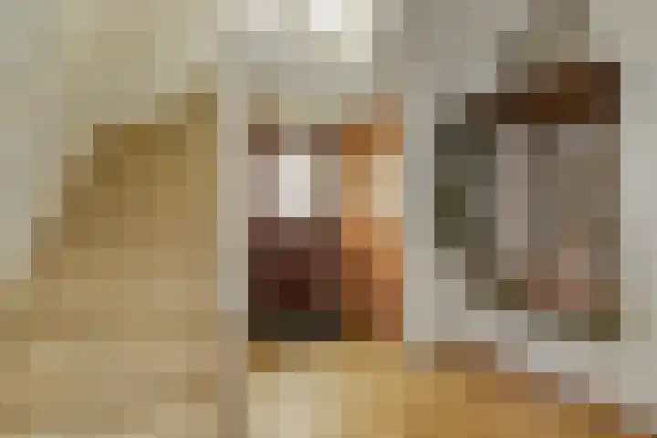 Vondellaan 11 Arnhem thumbnail 9