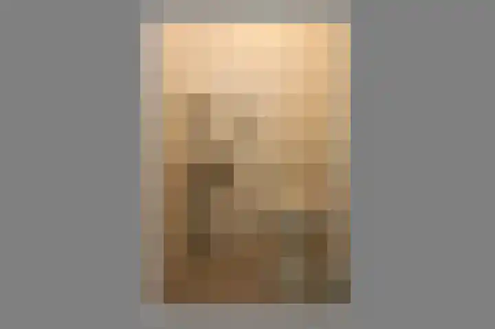 Vondellaan 11 Assen thumbnail 13