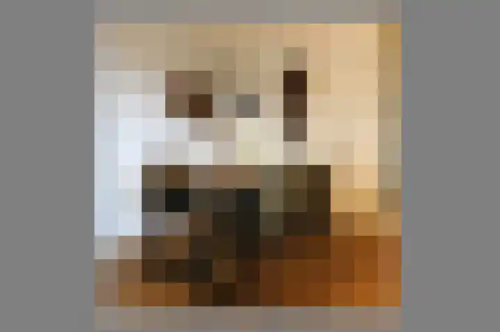 Vondellaan 11 Assen thumbnail 22