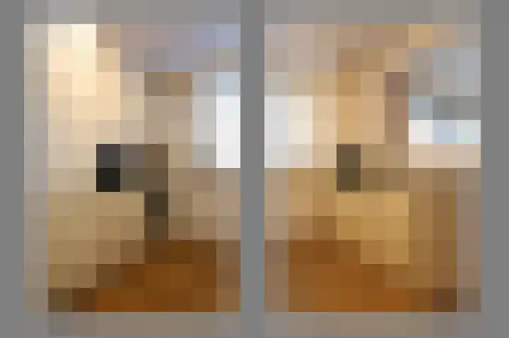 Vondellaan 11 Assen thumbnail 24