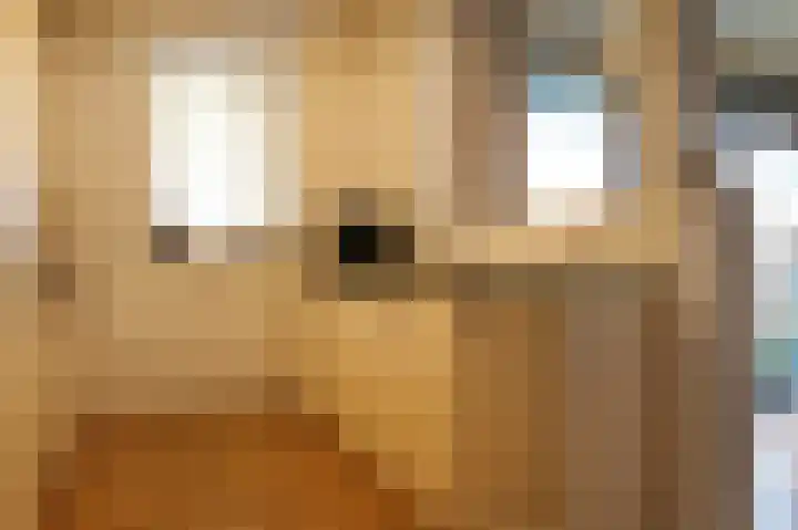 Vondellaan 11 Assen thumbnail 25