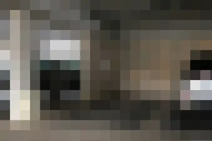 Vondellaan 11 Assen thumbnail 34