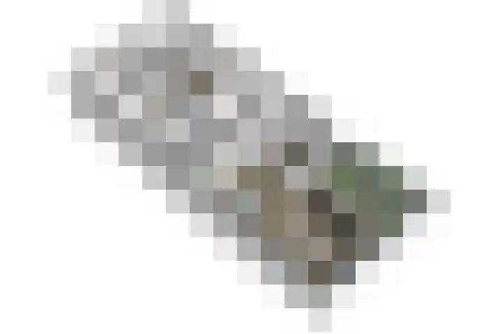 Vondellaan 11 Assen thumbnail 36