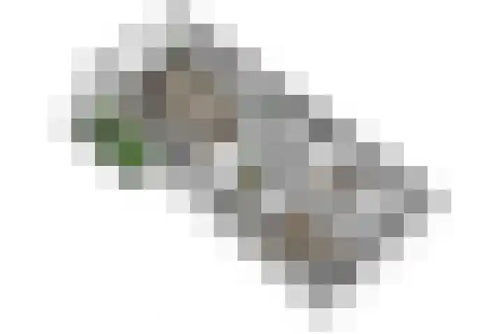 Vondellaan 11 Assen thumbnail 37