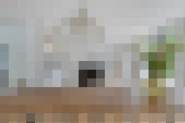 Vondellaan 11 Capelle aan den IJssel thumbnail 19