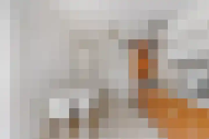Vondellaan 11 Capelle aan den IJssel thumbnail 23