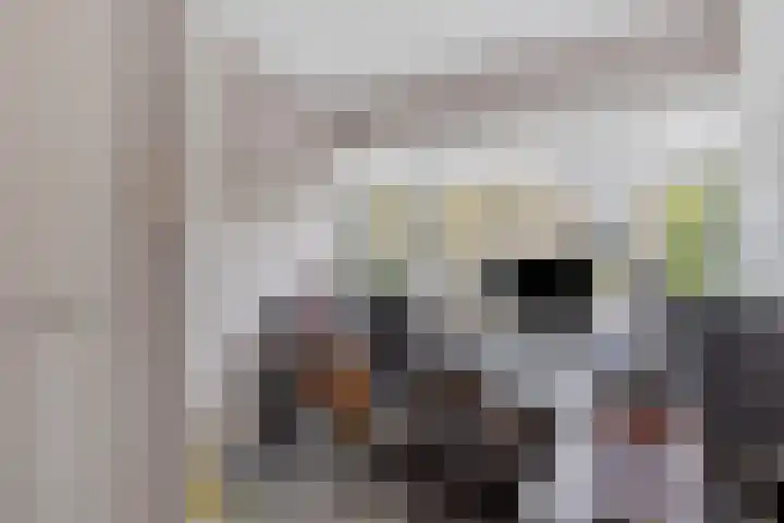 Vondellaan 11 Capelle aan den IJssel thumbnail 25