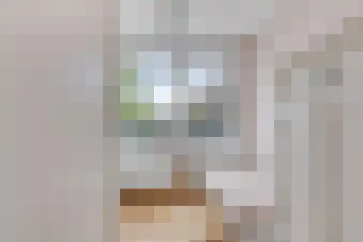 Vondellaan 11 Capelle aan den IJssel thumbnail 37