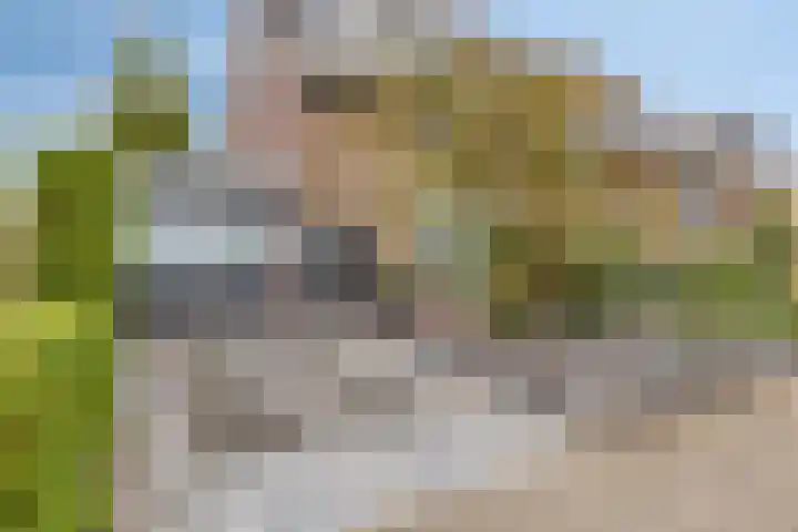 Vondellaan 11 Capelle aan den IJssel thumbnail 5