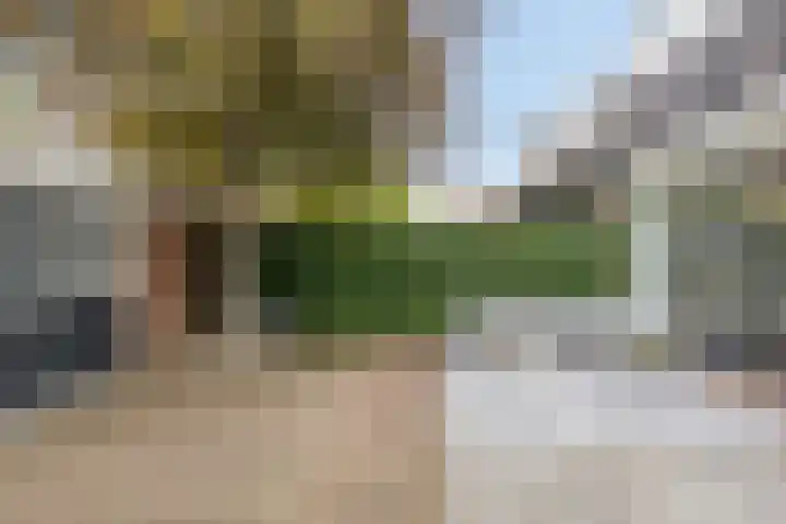 Vondellaan 11 Capelle aan den IJssel thumbnail 50