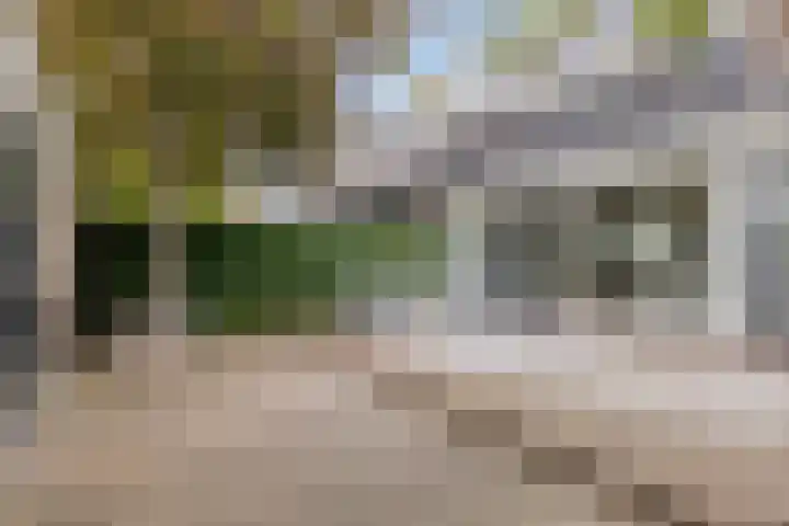Vondellaan 11 Capelle aan den IJssel thumbnail 51