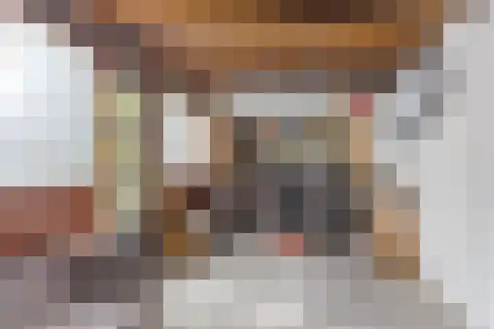 Vondellaan 11 Capelle aan den IJssel thumbnail 52