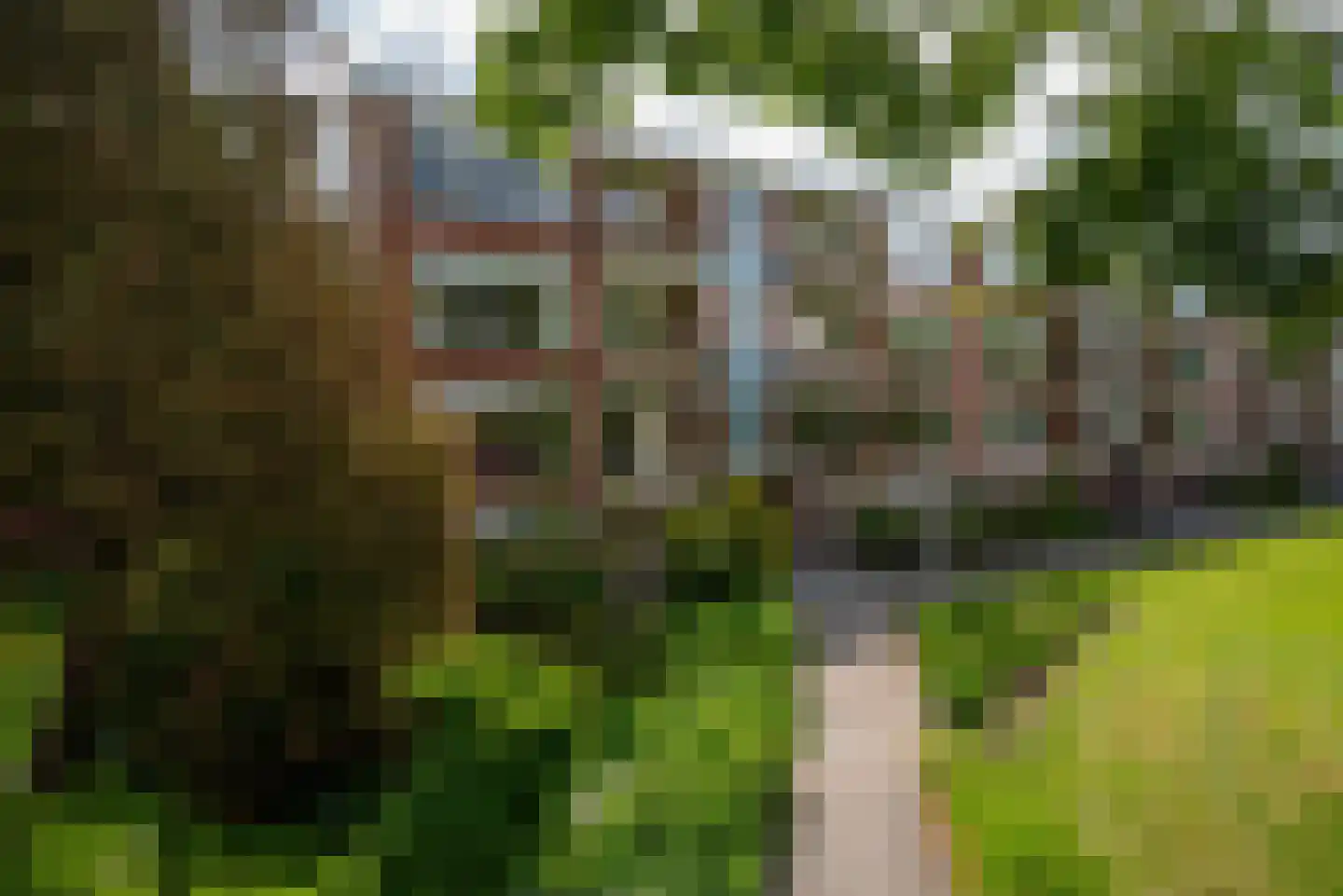 Vondellaan 114 in Haren Gn