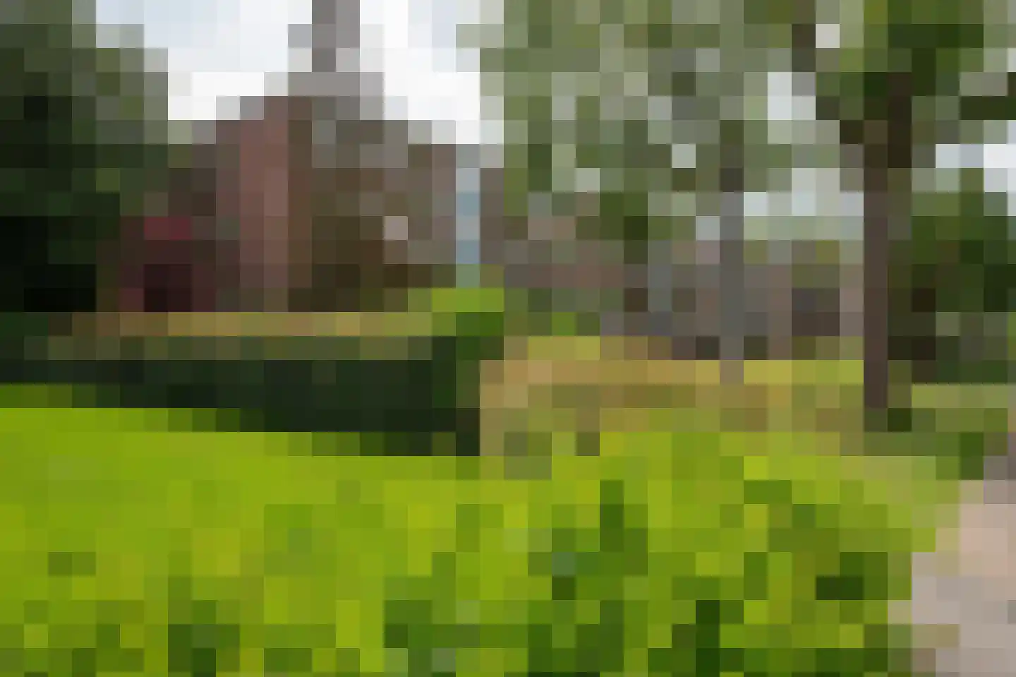 Vondellaan 114 Haren Gn thumbnail 9
