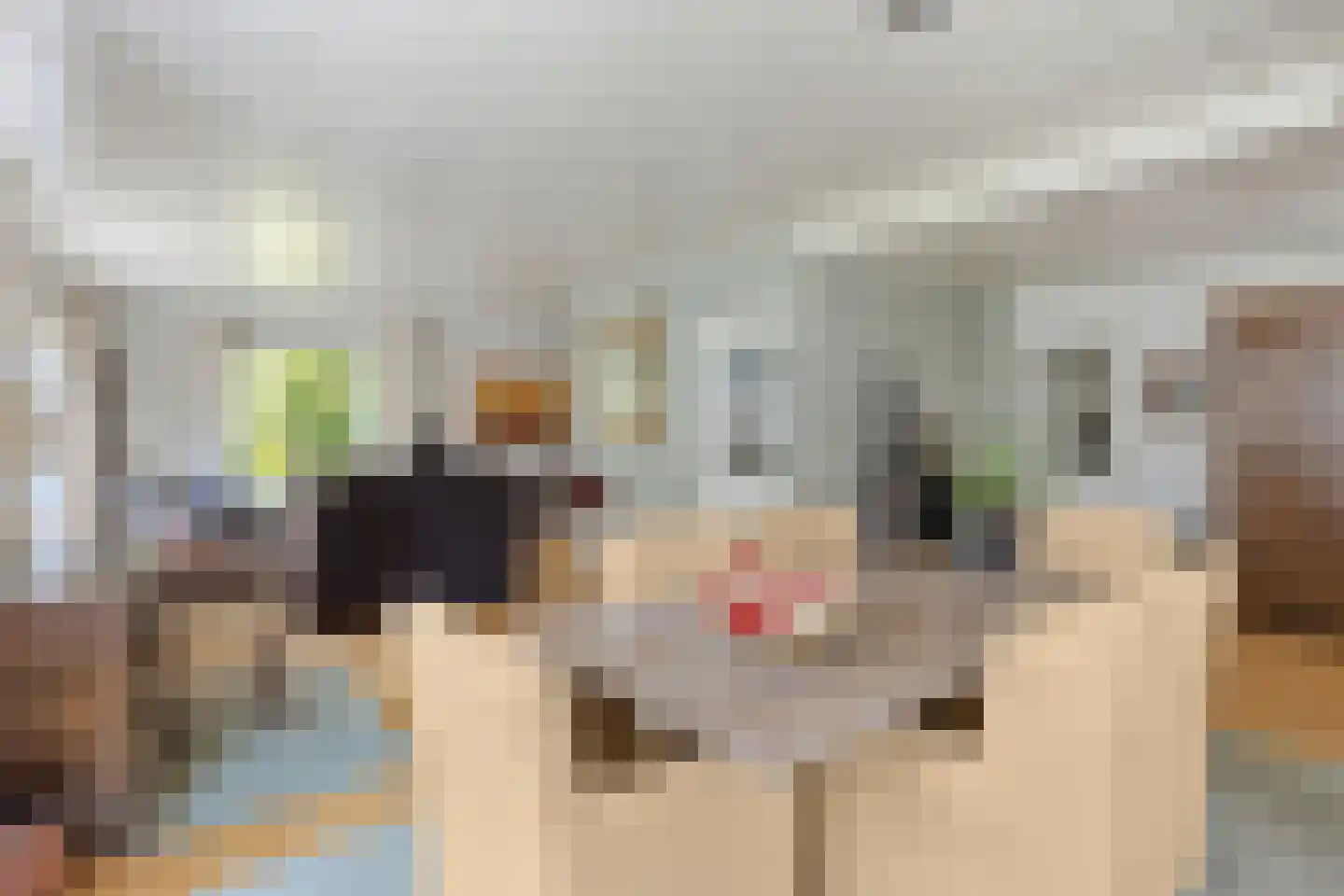 Vondellaan 117 Gemert thumbnail 24