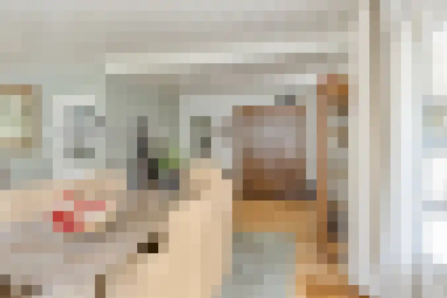 Vondellaan 117 Gemert thumbnail 25