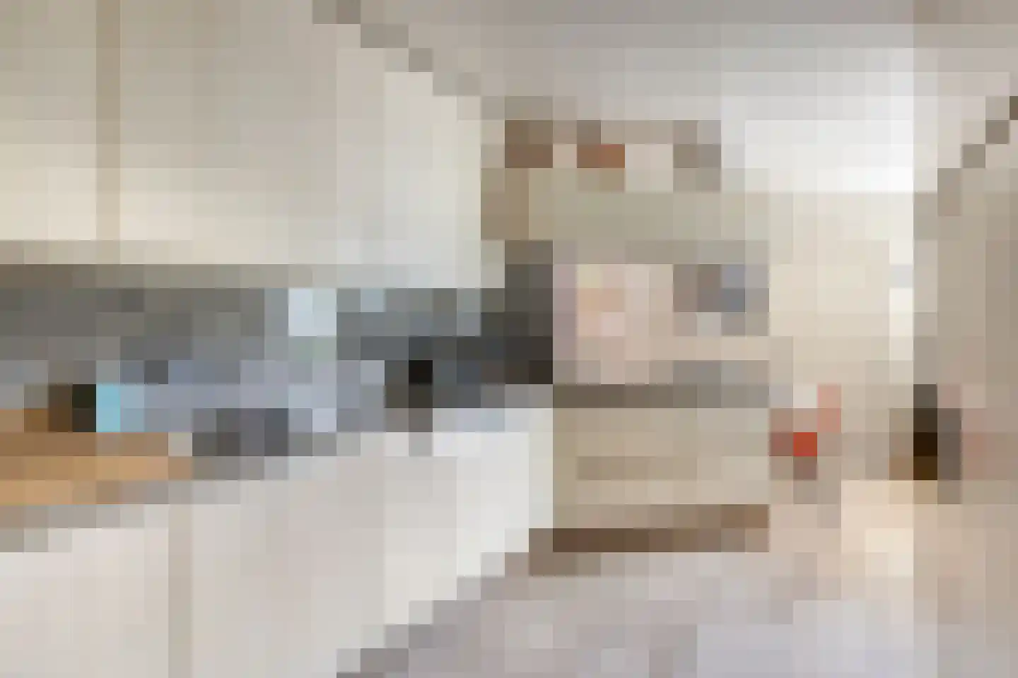 Vondellaan 117 Gemert thumbnail 27