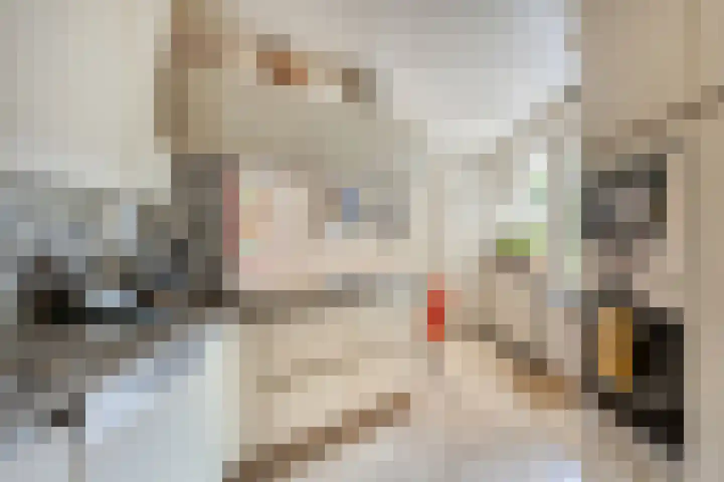 Vondellaan 117 Gemert thumbnail 28