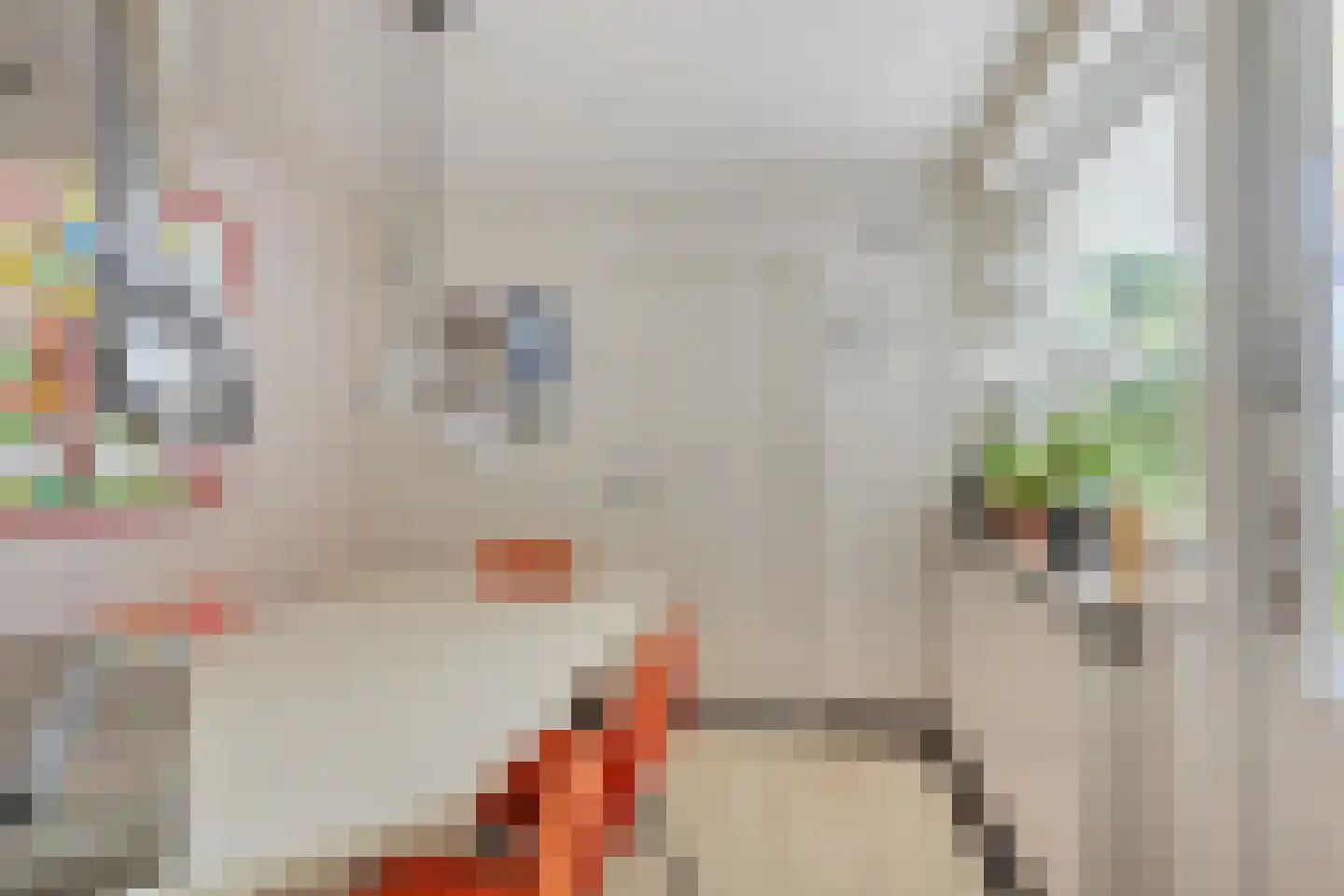 Vondellaan 117 Gemert thumbnail 31