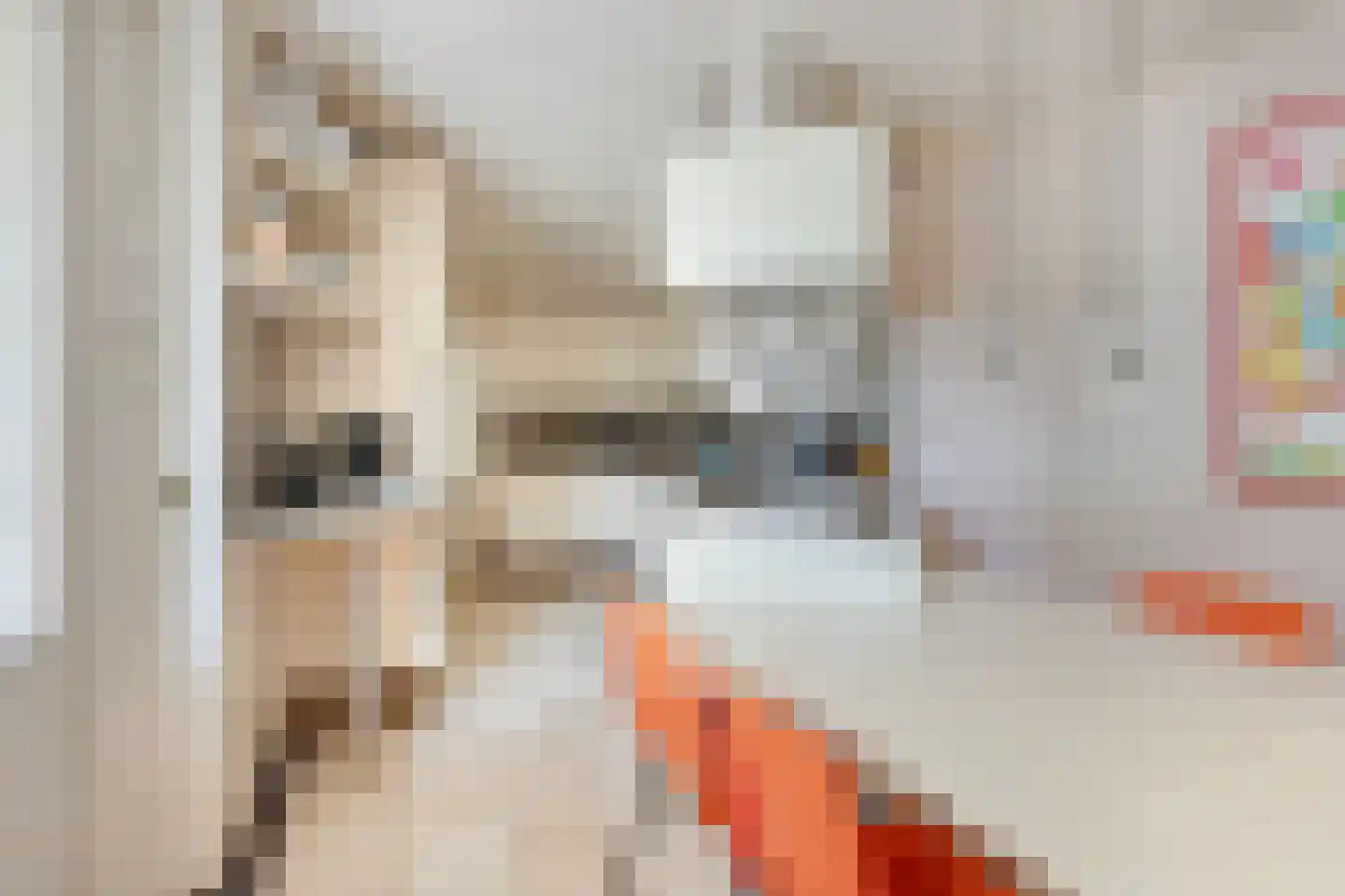 Vondellaan 117 Gemert thumbnail 32