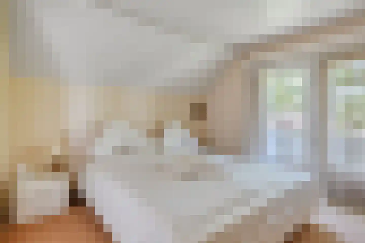 Vondellaan 117 Gemert thumbnail 39