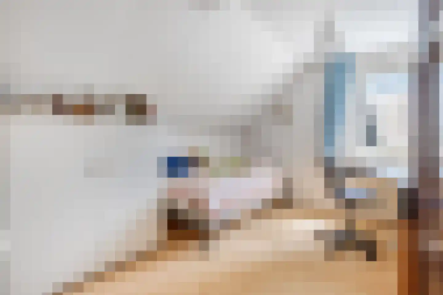 Vondellaan 117 Gemert thumbnail 50