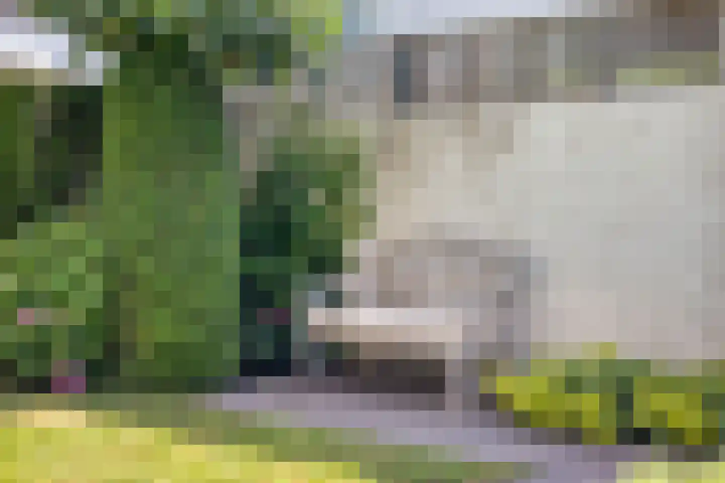Vondellaan 117 Gemert thumbnail 57