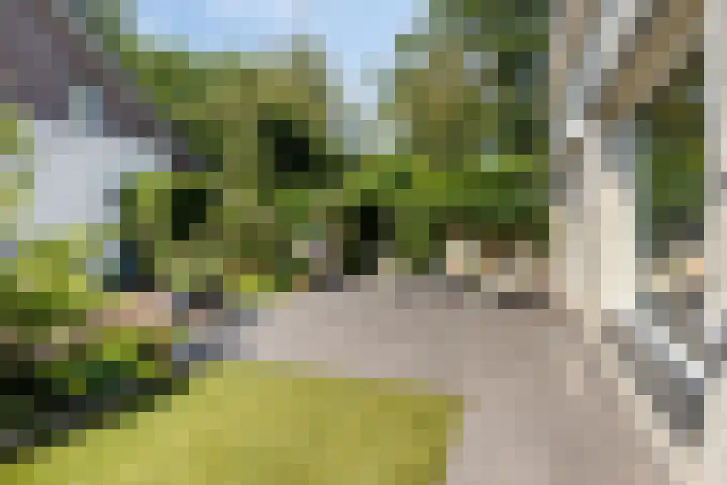 Vondellaan 117 Gemert thumbnail 59
