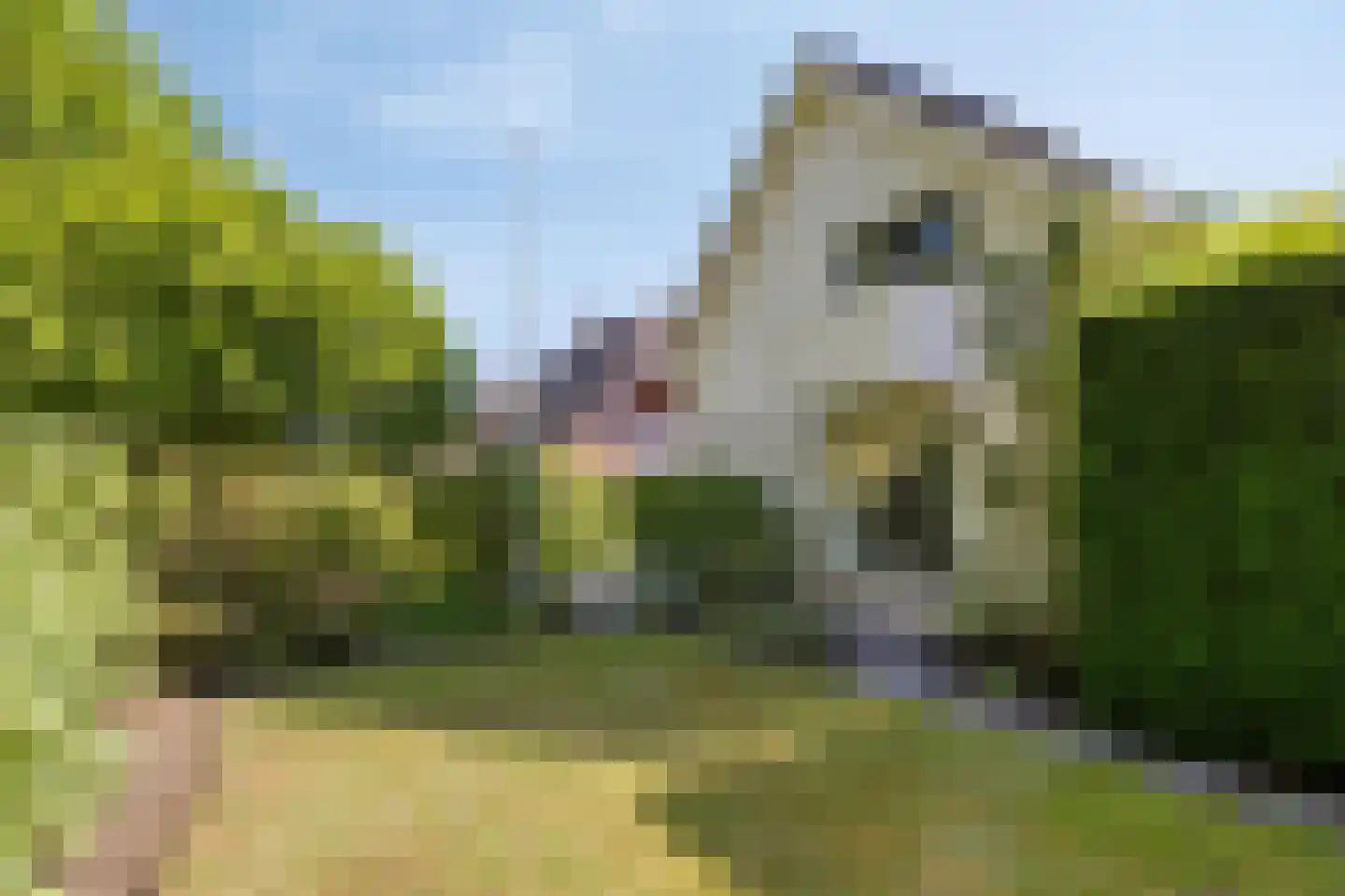 Vondellaan 117 Gemert thumbnail 8