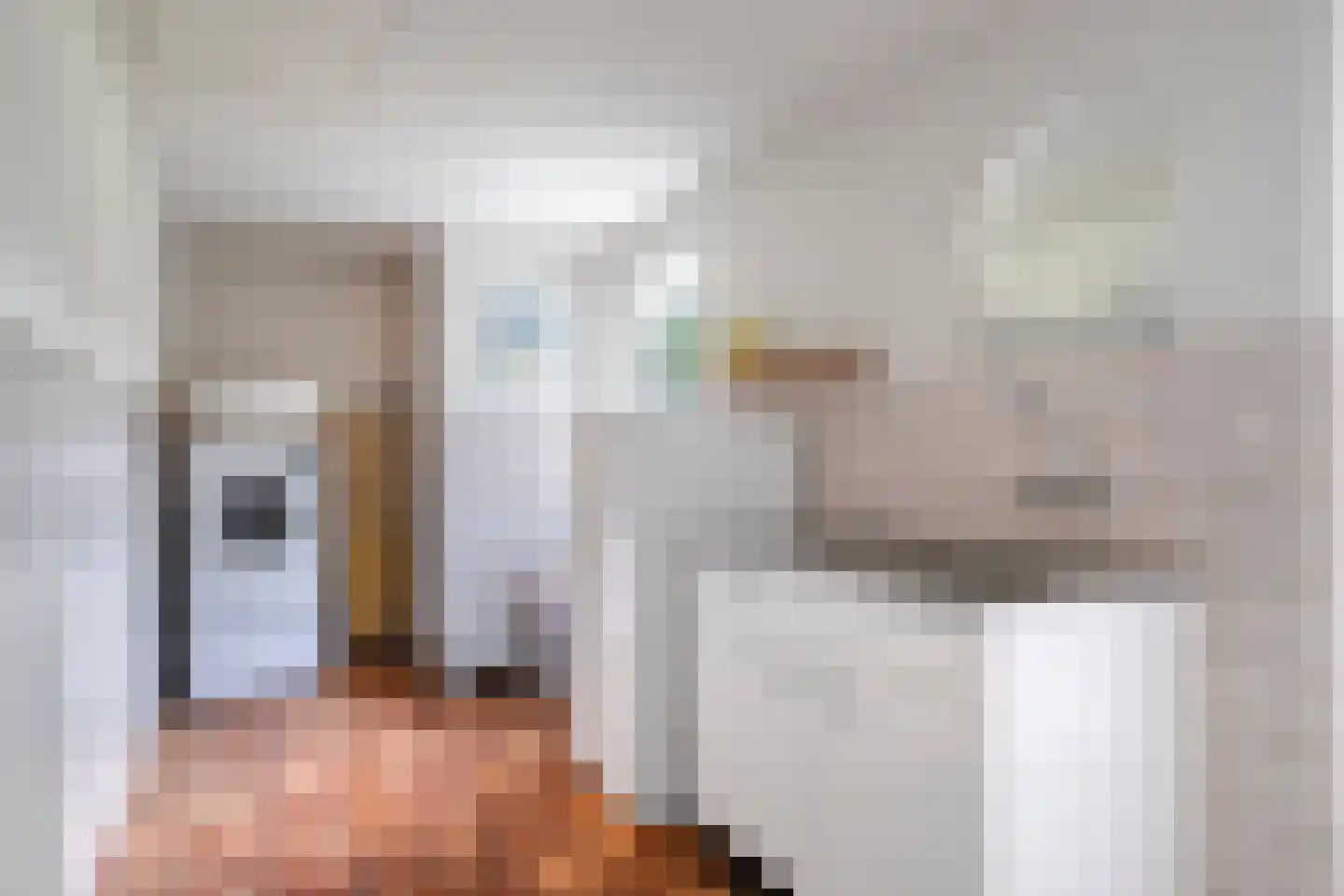 Vondellaan 119 Gemert thumbnail 20