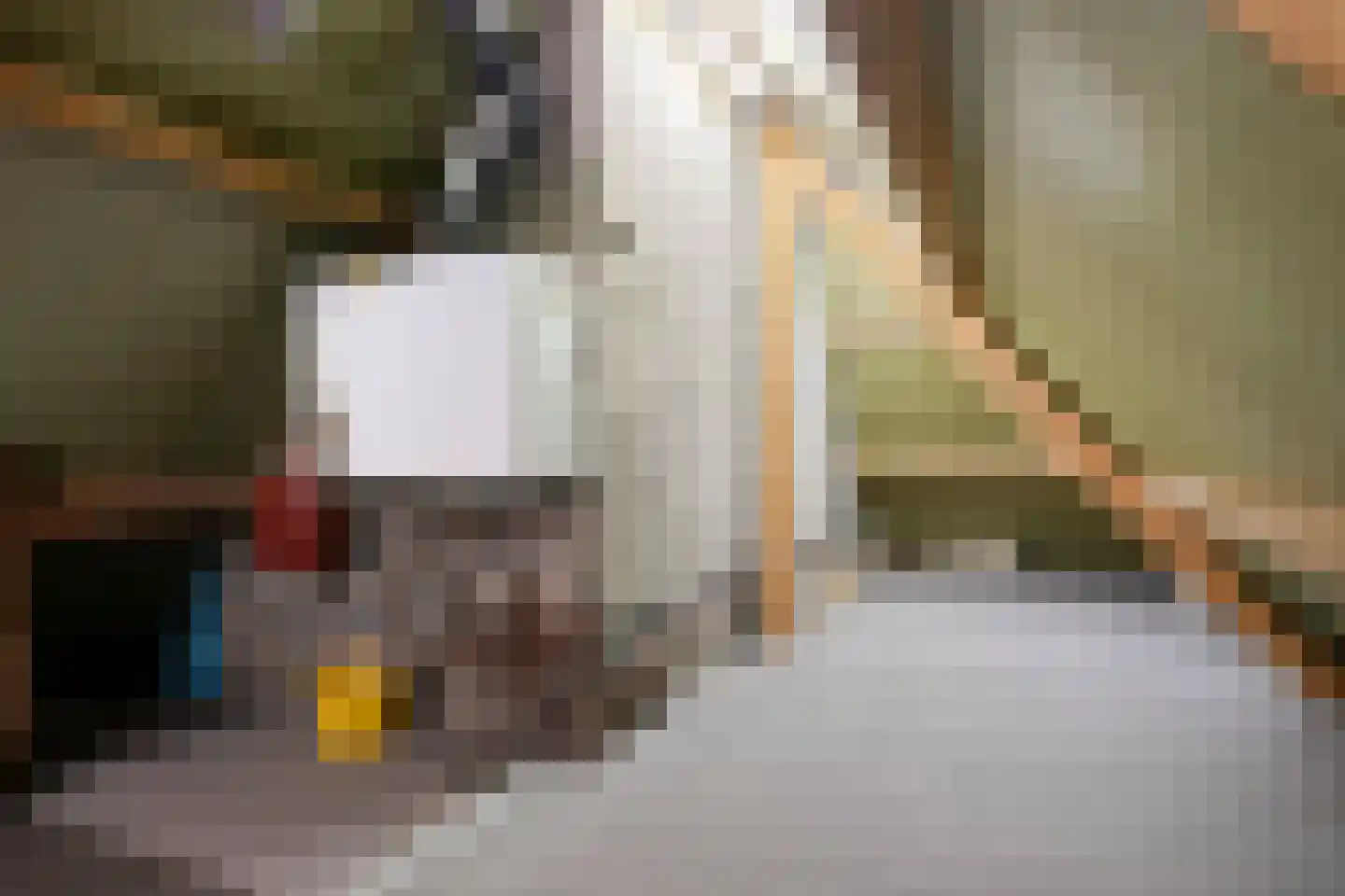 Vondellaan 119 Gemert thumbnail 22