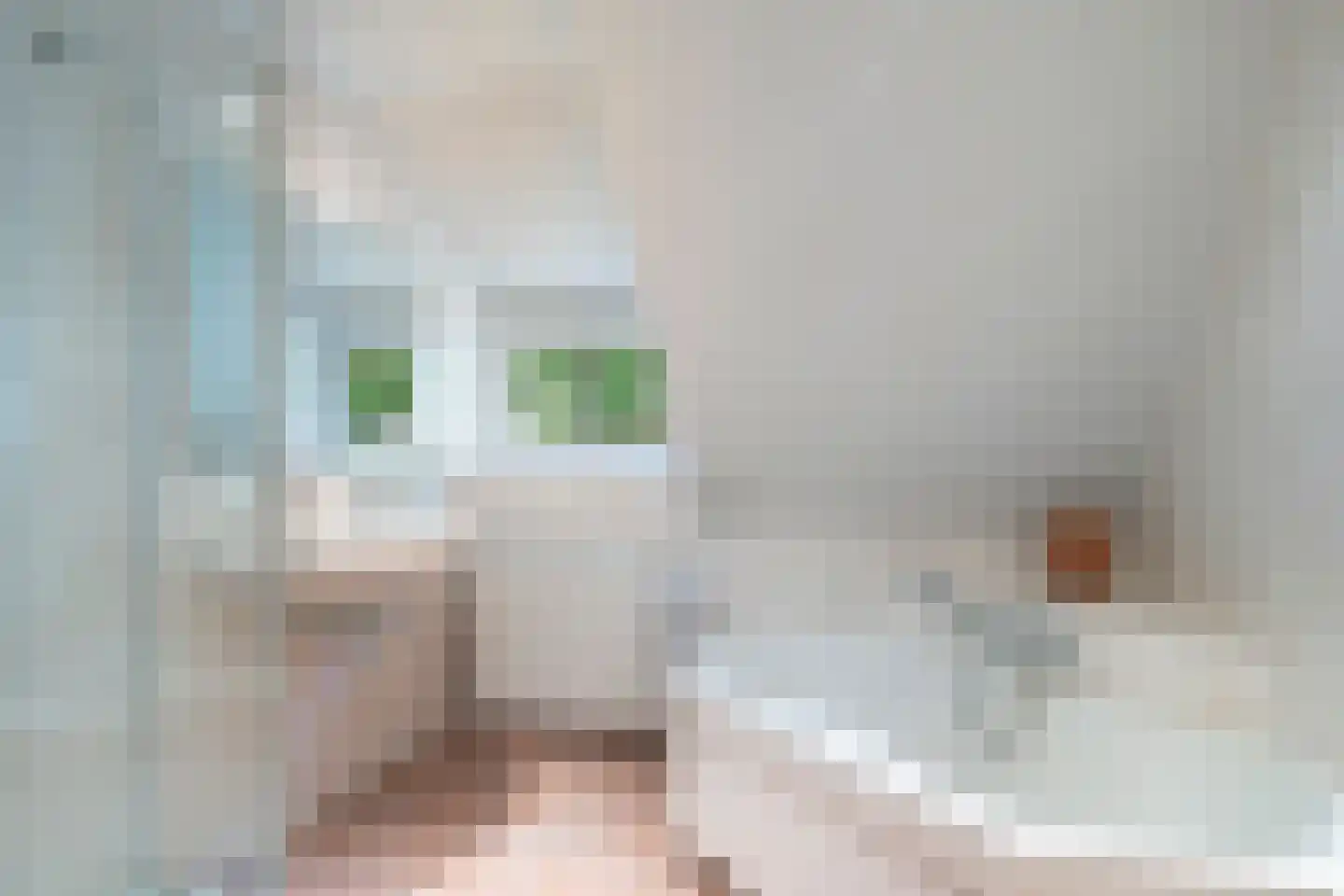 Vondellaan 119 Gemert thumbnail 27