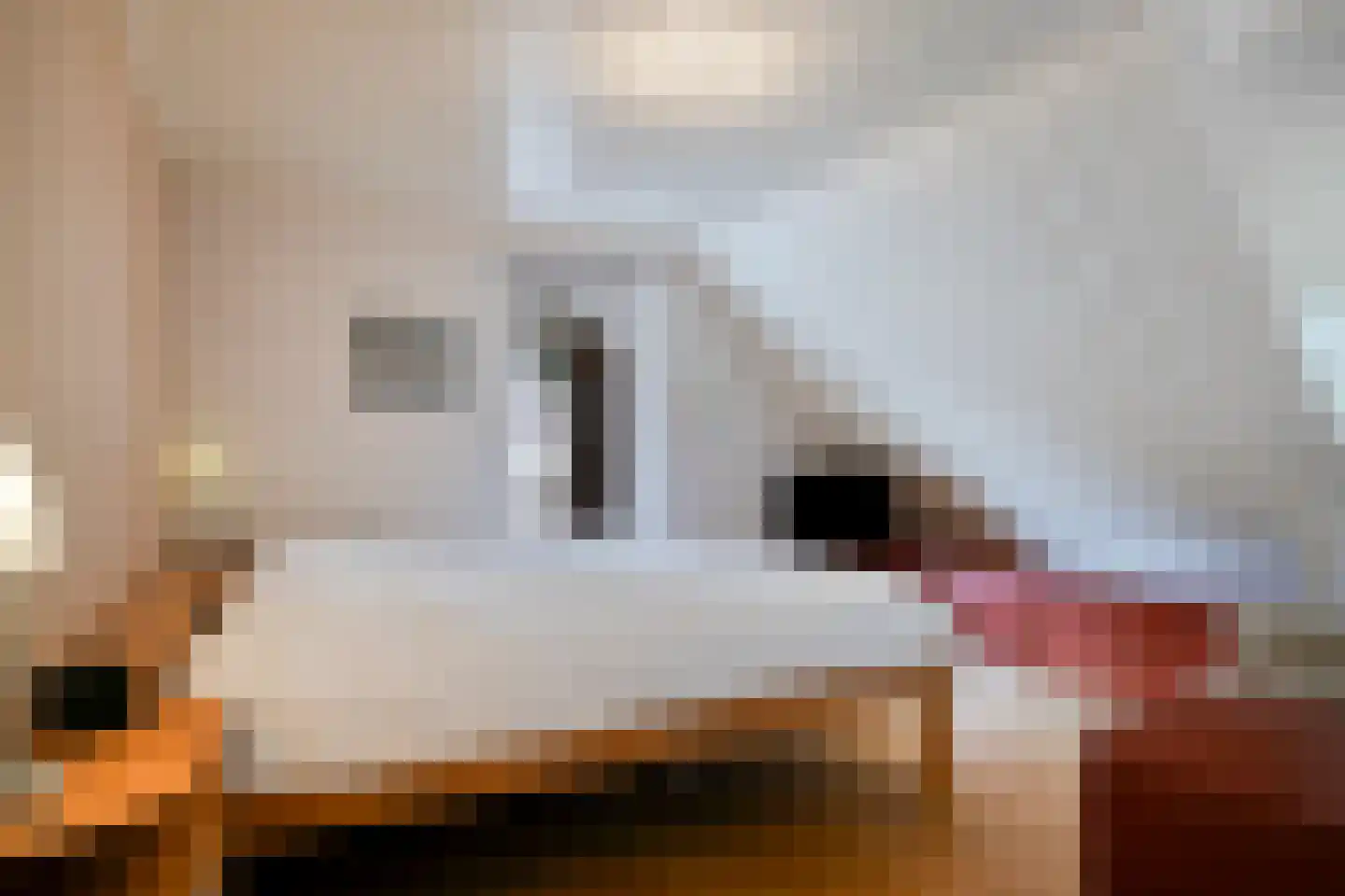 Vondellaan 119 Gemert thumbnail 31