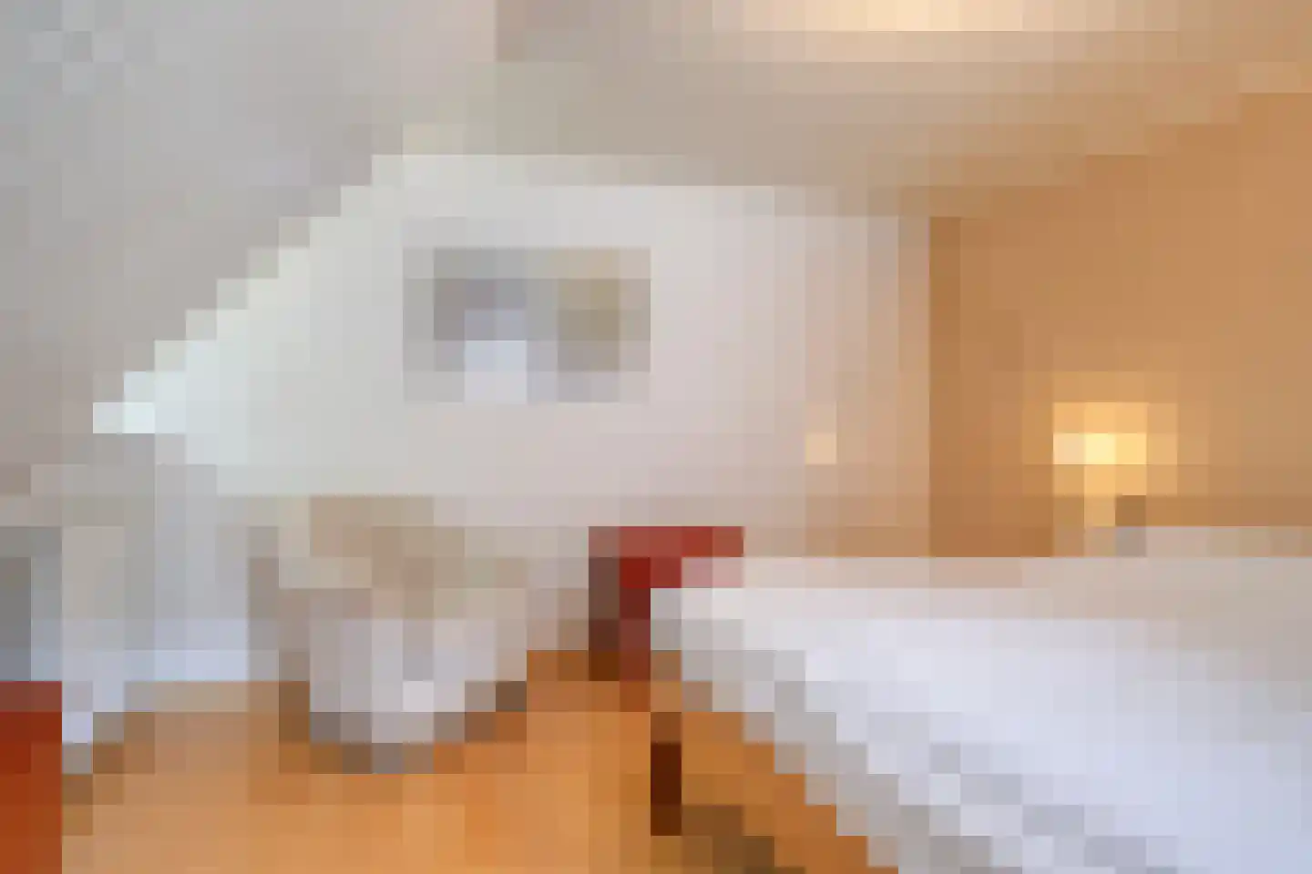 Vondellaan 119 Gemert thumbnail 33