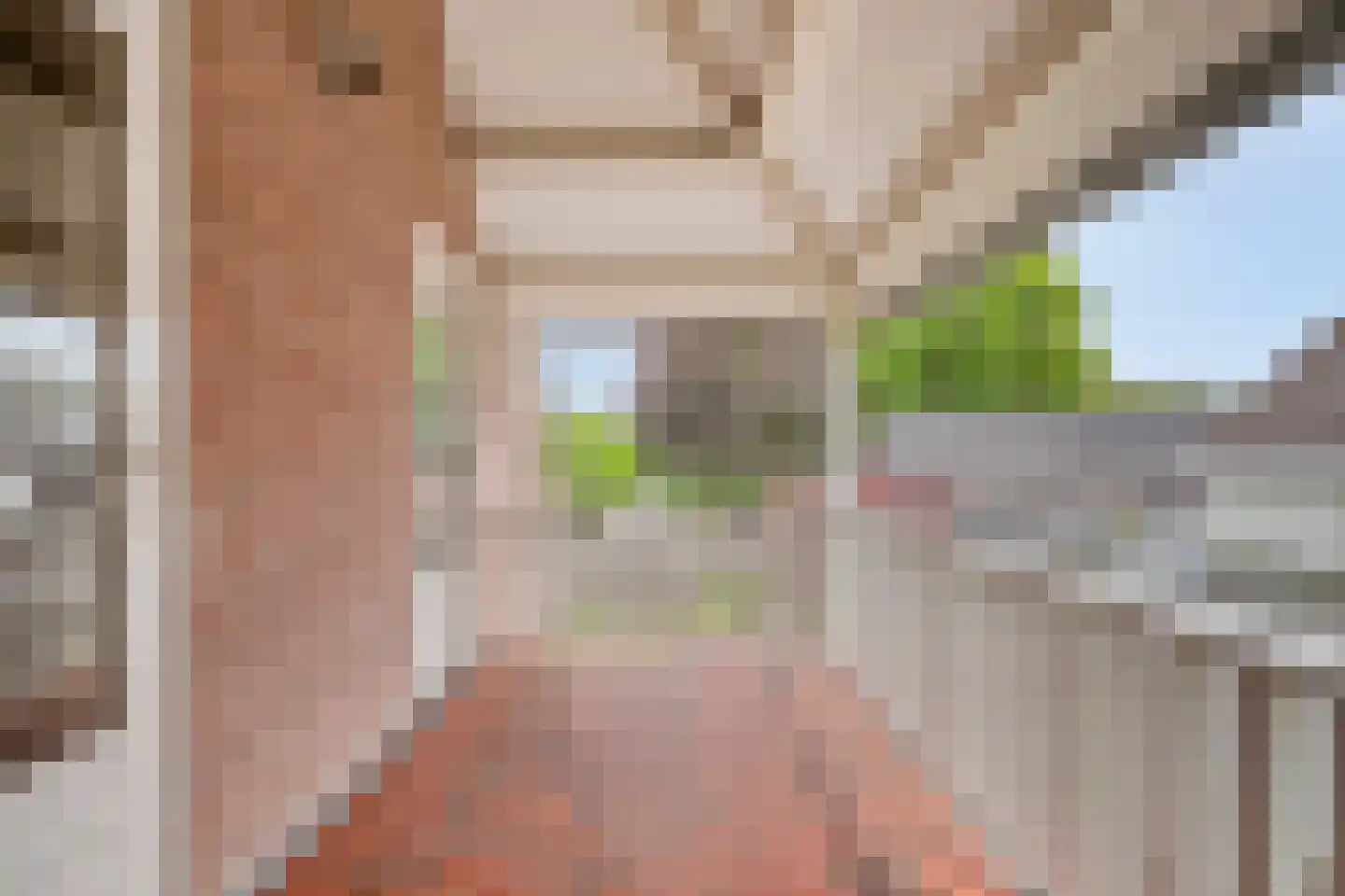 Vondellaan 119 Gemert thumbnail 34