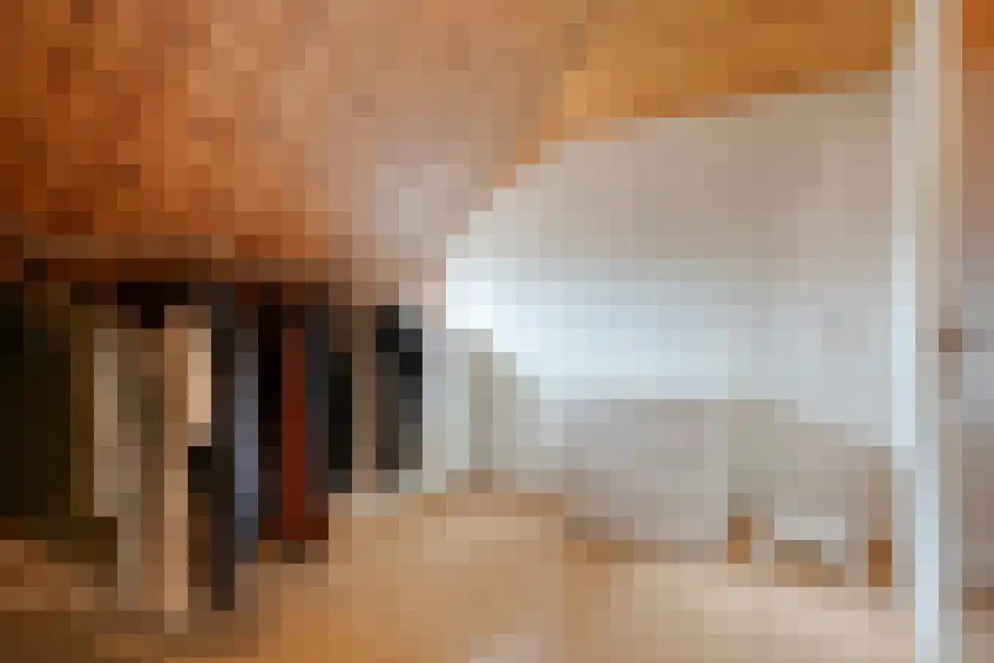 Vondellaan 119 Gemert thumbnail 39