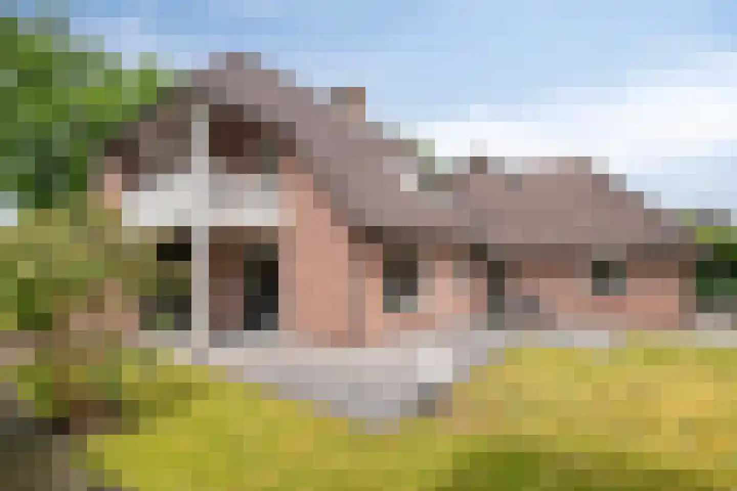 Vondellaan 119 Gemert thumbnail 46