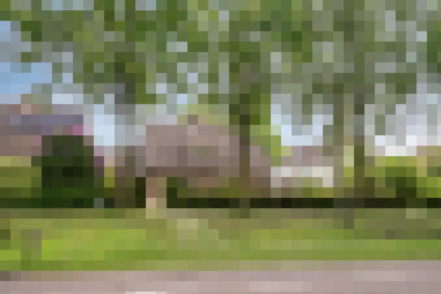 Vondellaan 119 Gemert thumbnail 5