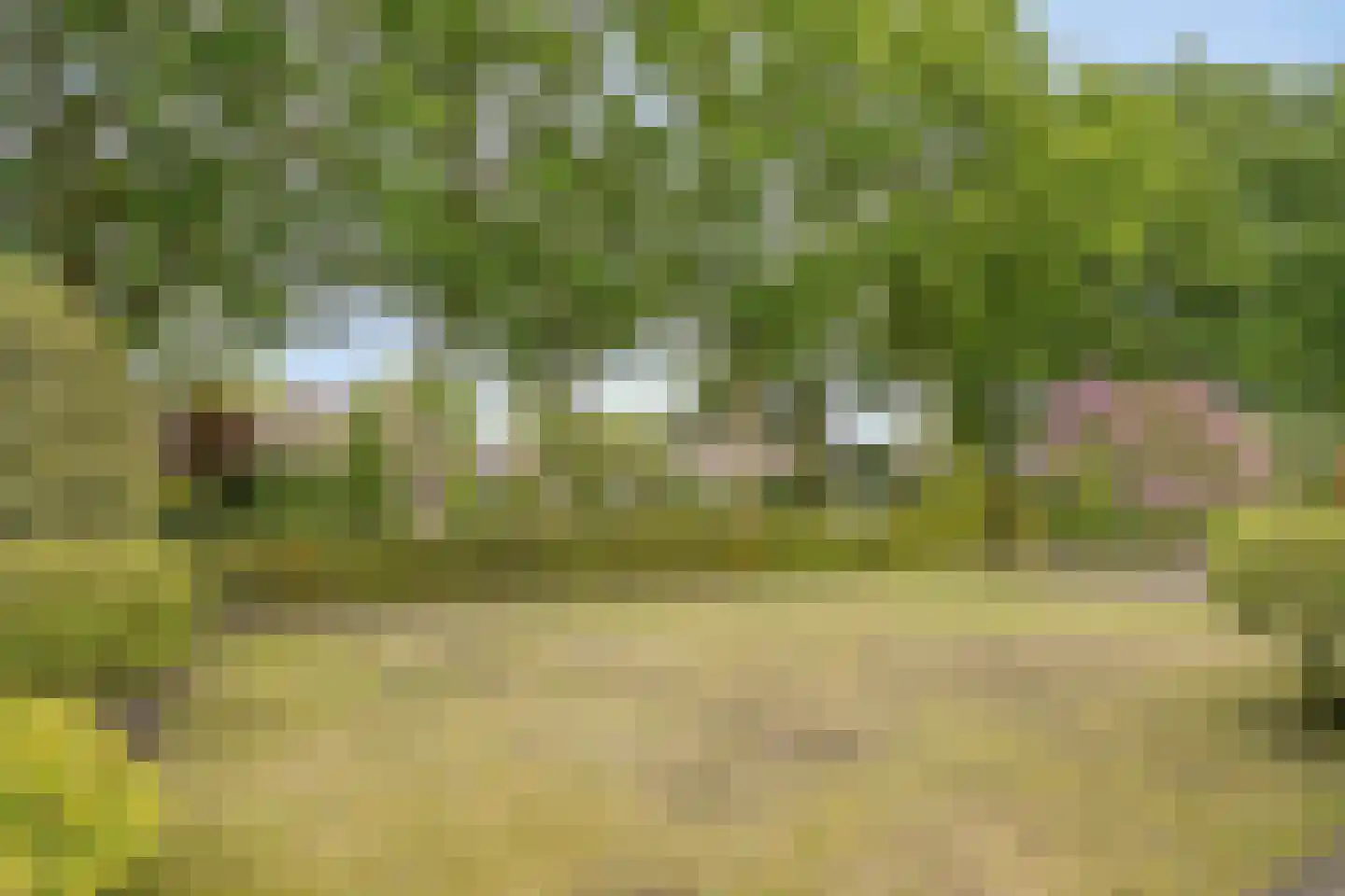 Vondellaan 119 Gemert thumbnail 51