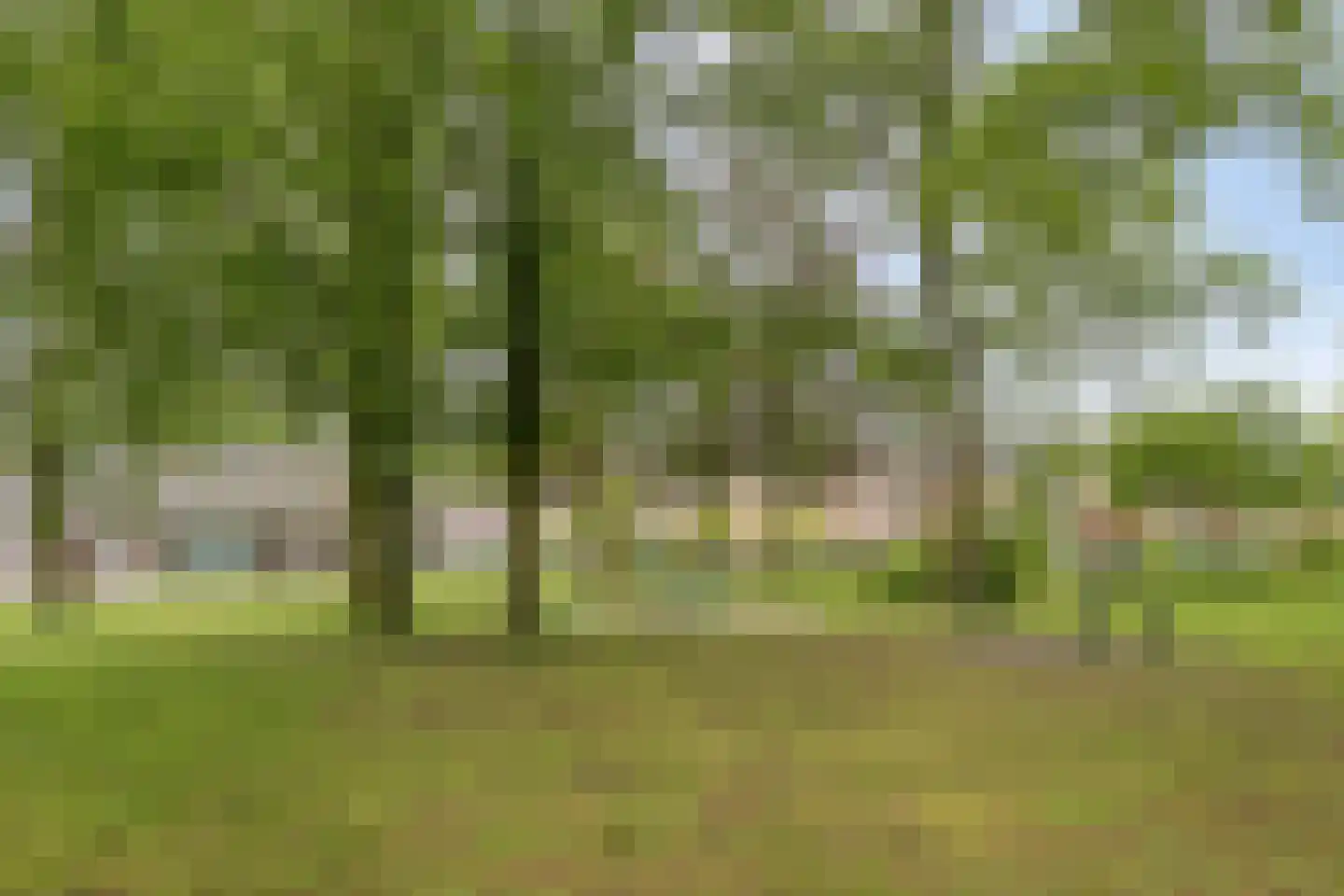 Vondellaan 119 Gemert thumbnail 53