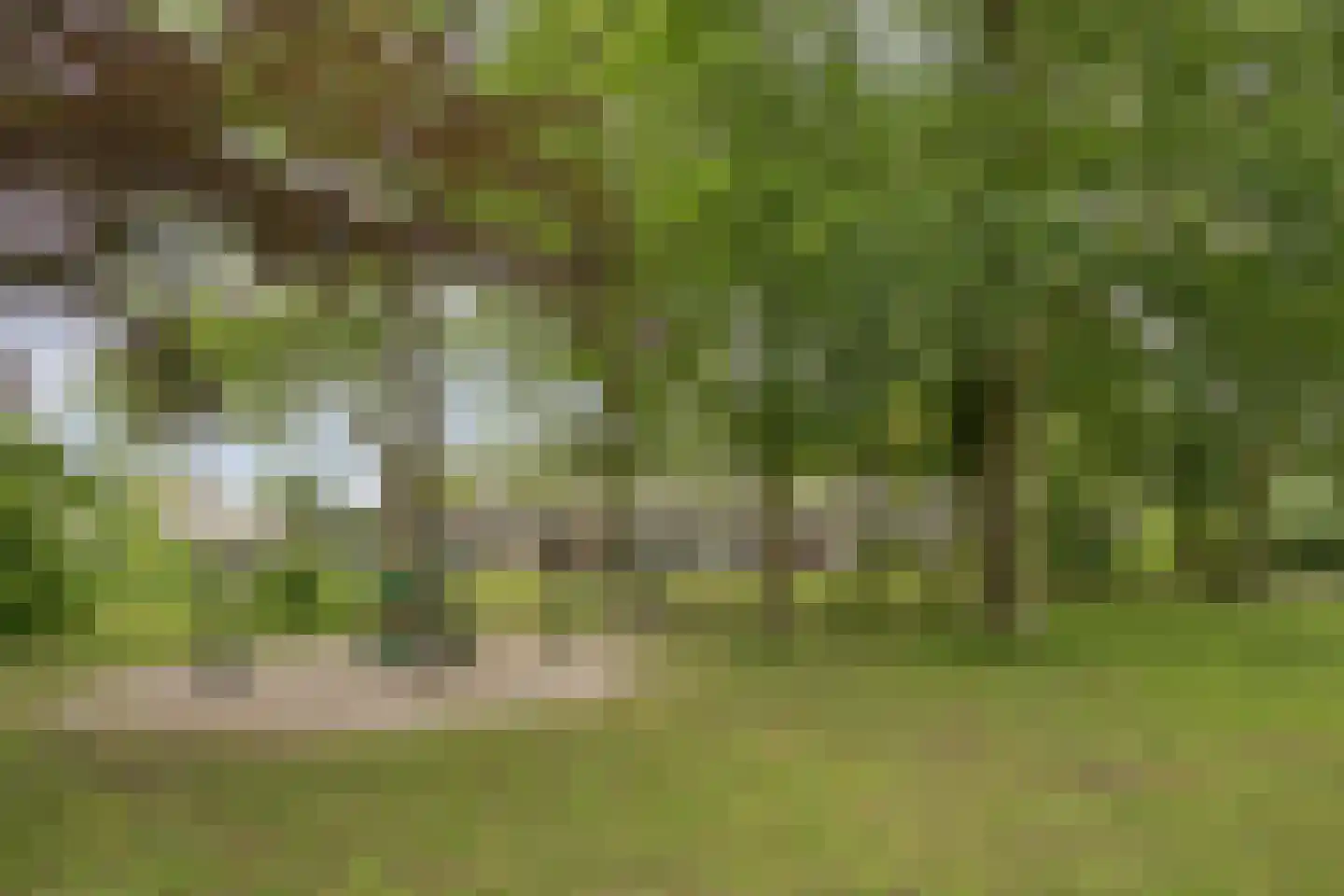Vondellaan 119 Gemert thumbnail 54